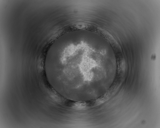 X0000102470606200808221644