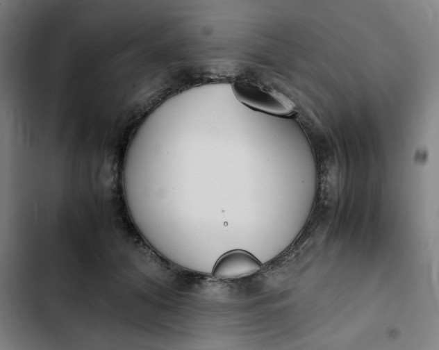 X0000102470608200808221644