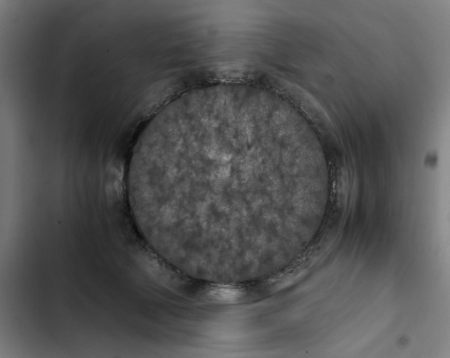 X0000102470610200808221644