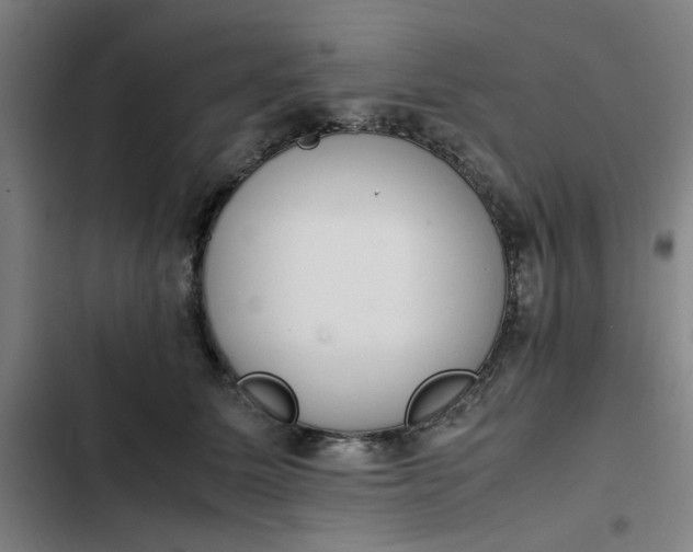 X0000102470611200808221644