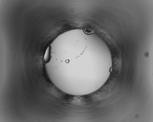 X0000102470612200808221644