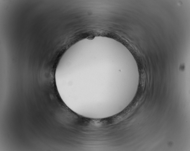 X0000102470613200808221644