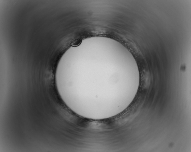 X0000102470614200808221644