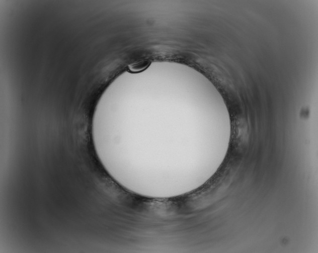 X0000102470615200808221644