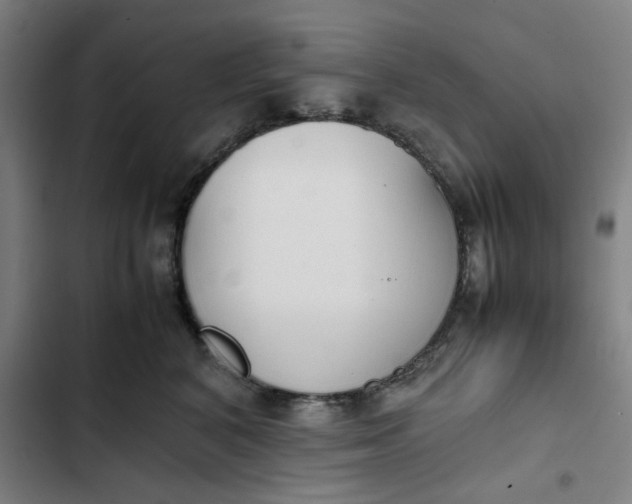X0000102470616200808221644