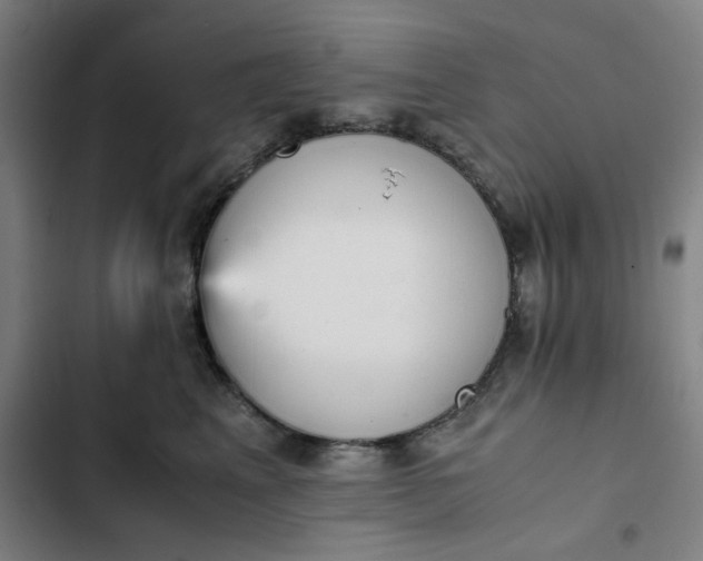 X0000102470617200808221644