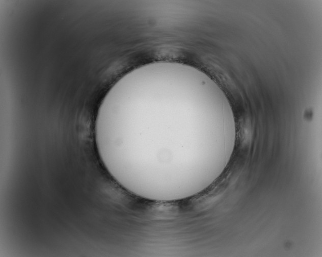 X0000102470619200808221644