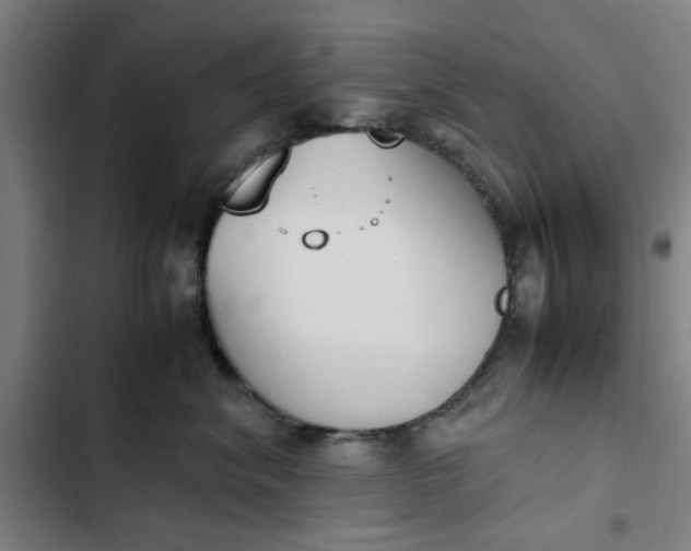 X0000102470620200808221644