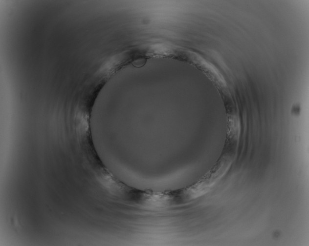 X0000102470621200808221644