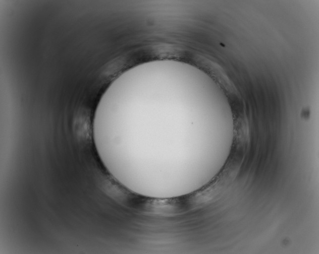 X0000102470622200808221644