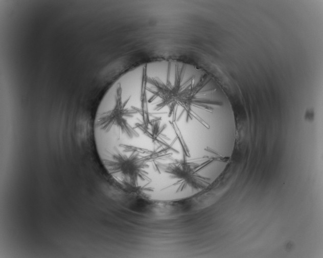 X0000102470623200808221644