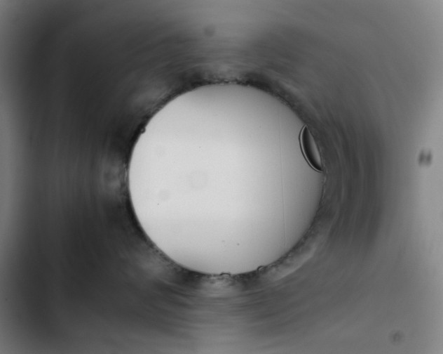 X0000102470624200808221644