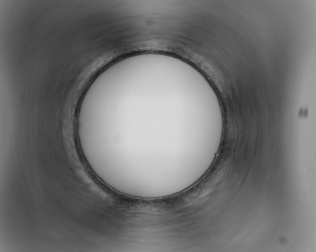 X0000102470625200808221643