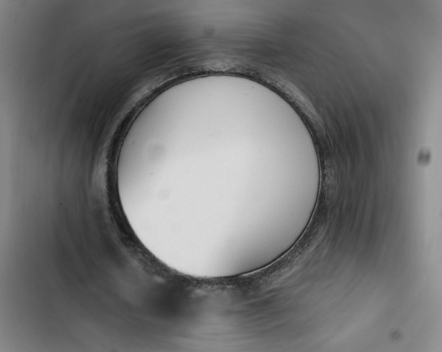 X0000102470626200808221643