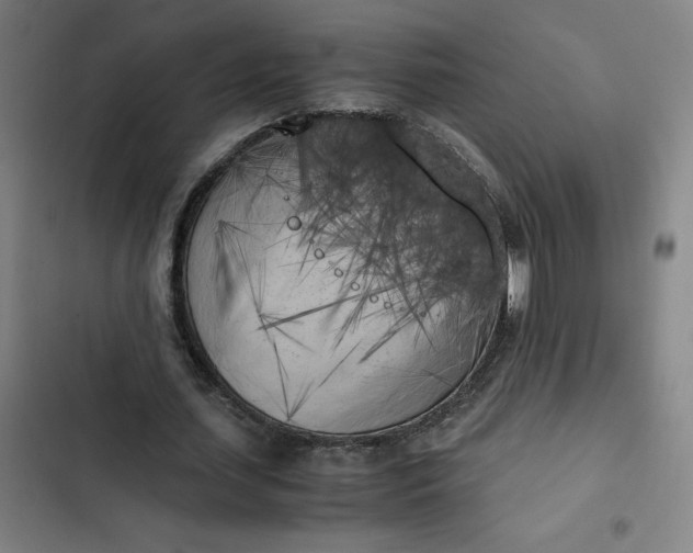 X0000102470627200808221643