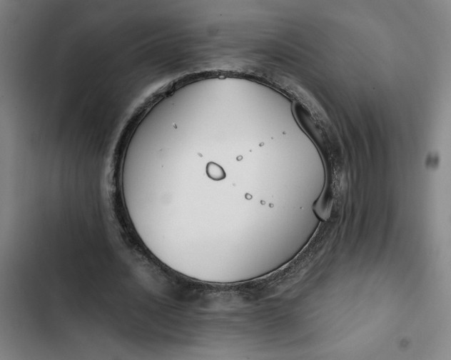 X0000102470628200808221643