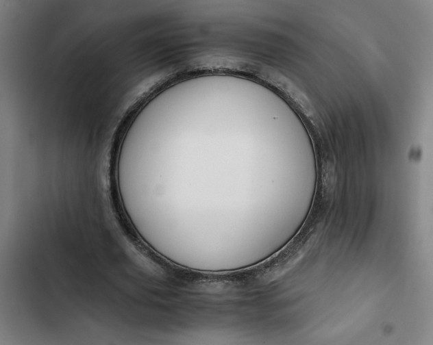 X0000102470629200808221643