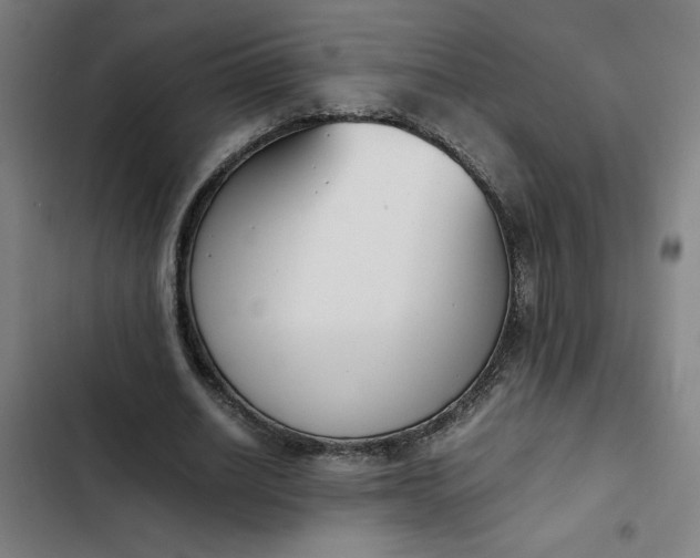 X0000102470630200808221643