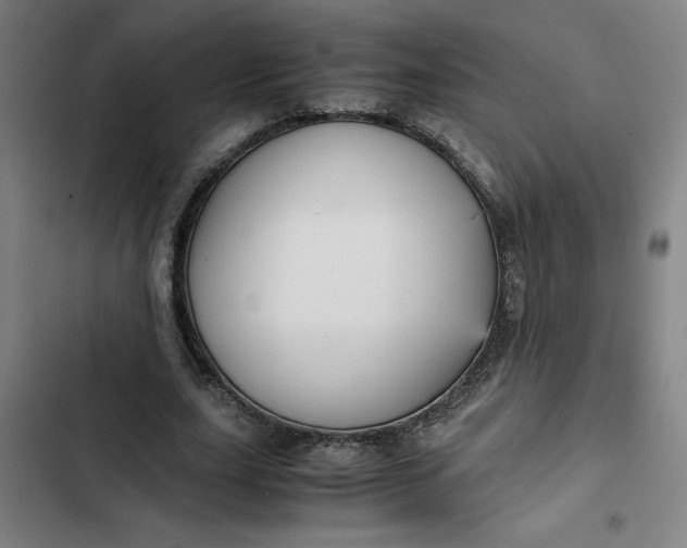 X0000102470631200808221643