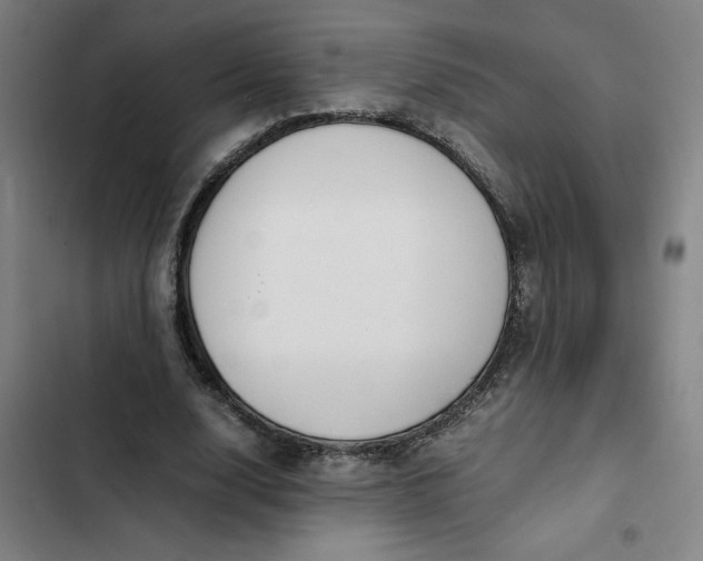 X0000102470632200808221643