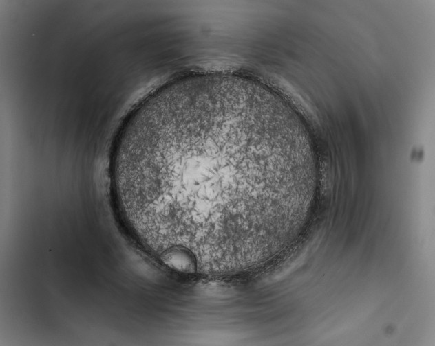X0000102470634200808221643