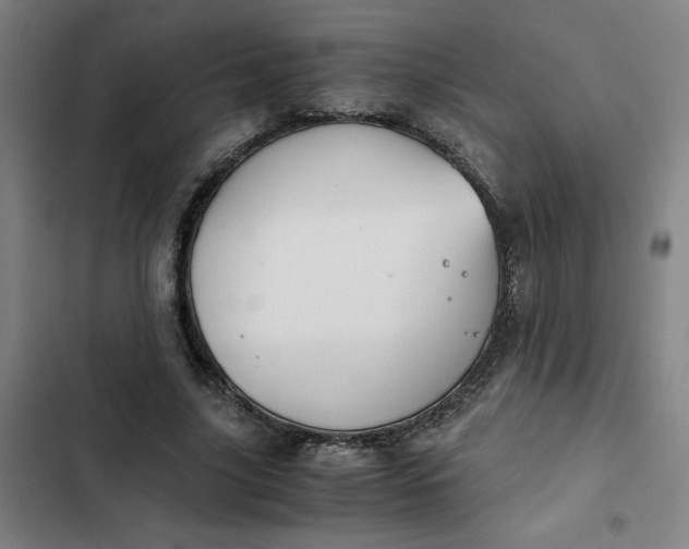 X0000102470635200808221643