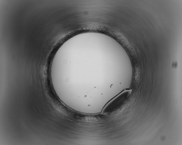 X0000102470636200808221643