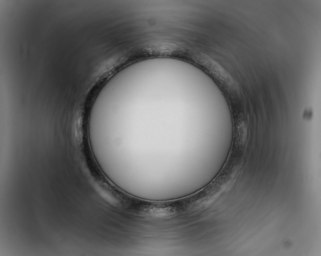 X0000102470638200808221644