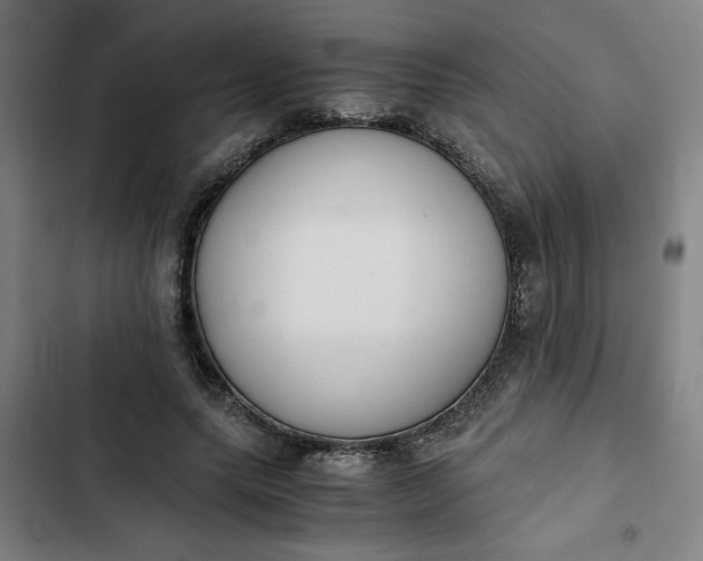 X0000102470639200808221644