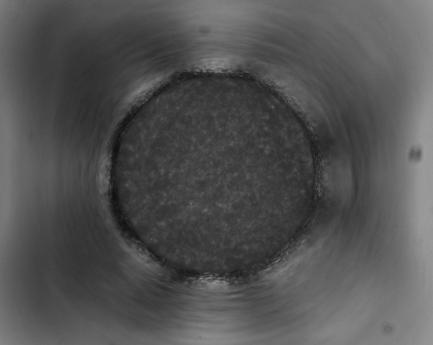 X0000102470640200808221644