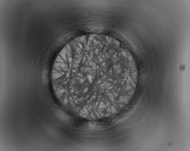 X0000102470641200808221644