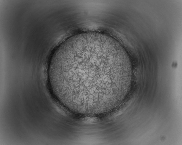 X0000102470642200808221644