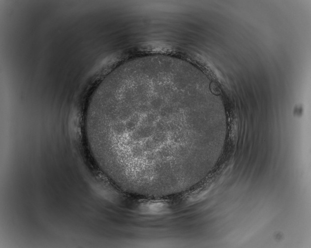 X0000102470643200808221644