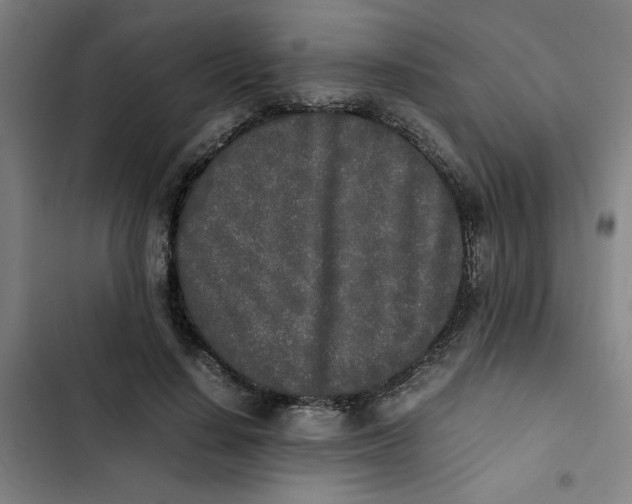 X0000102470644200808221644