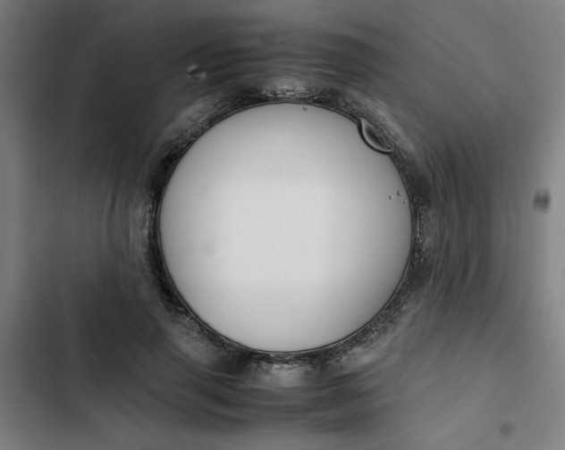 X0000102470645200808221644
