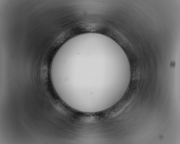 X0000102470646200808221644