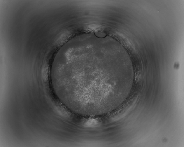 X0000102470647200808221644
