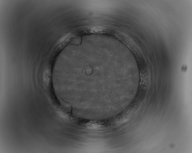 X0000102470648200808221644
