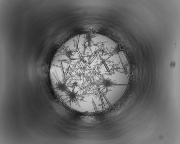 X0000102470649200808221644