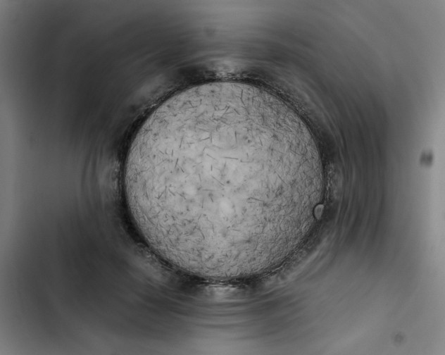 X0000102470650200808221644