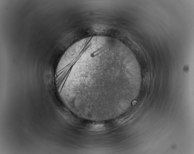 X0000102470651200808221644