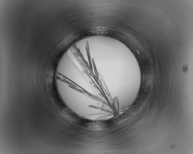 X0000102470652200808221644