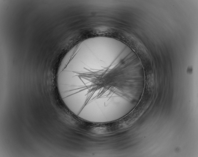 X0000102470653200808221644