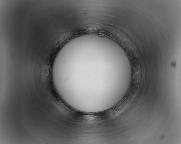 X0000102470654200808221644