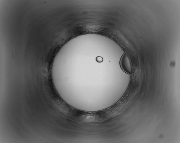 X0000102470655200808221644