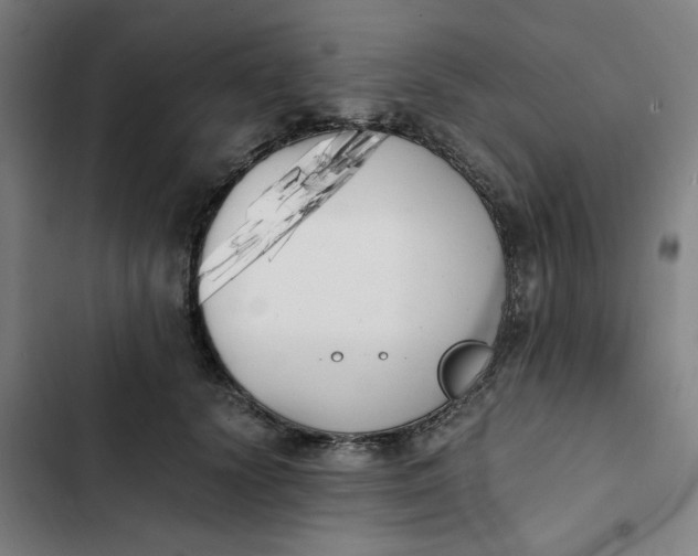 X0000102470656200808221644