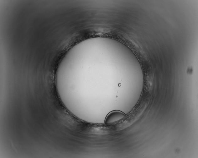 X0000102470657200808221644