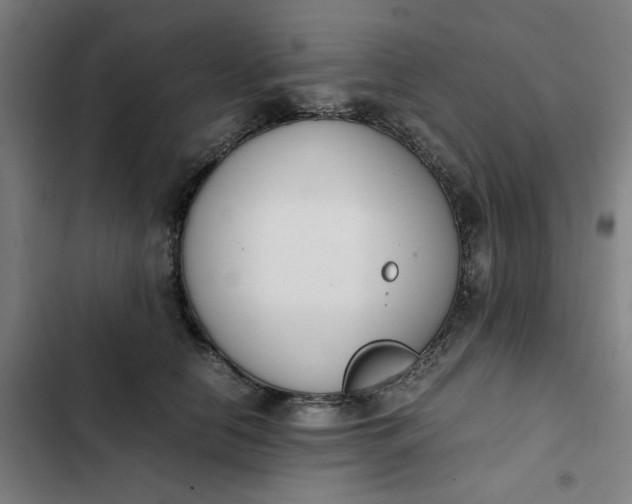 X0000102470658200808221644