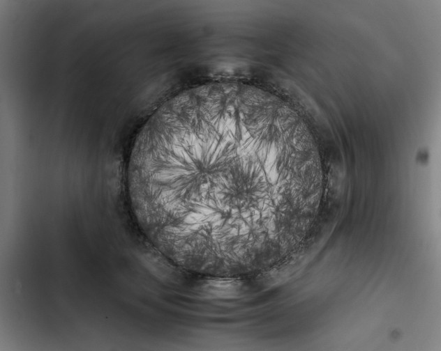 X0000102470659200808221644