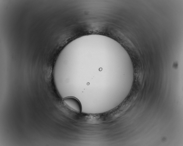 X0000102470660200808221644
